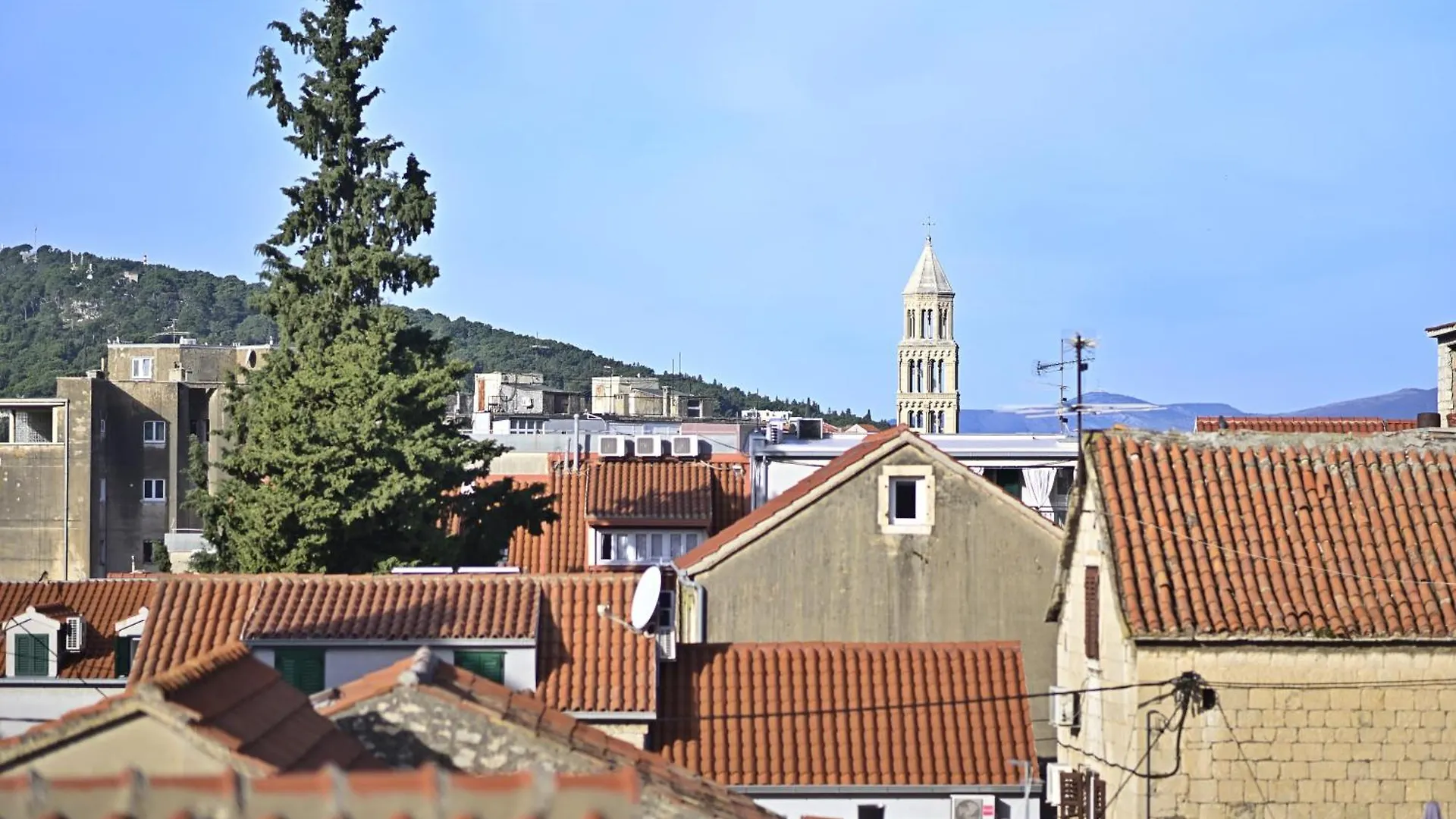 Briscola & Tressette Studios Split